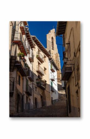 Morella