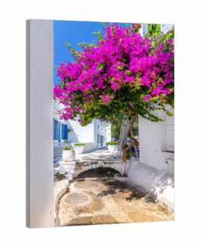 Rue fleurie avec un bougainvilliers de Mykonos en Grèce. 