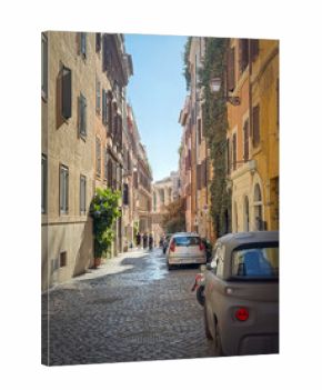 Narrow cobblestone street in Rome is lined with traditional buildings. The walls are adorned with shutters and climbing plants