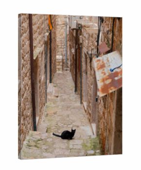 Narrow Stone Alley with Long Staircase and Resting Cat in Dubrovnik, Croatia