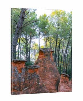 Paysage des ocres de Provence avec formations rocheuses rouges et pins en forêt, lumière naturelle du sud de la France