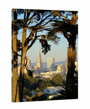 The view from Alamo Square park in San Francisco overlookign the famous Painted Ladies houses and the Financial district and city