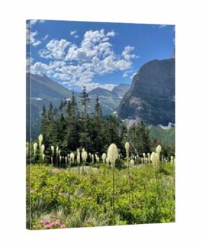landscape with mountains