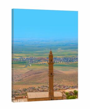 Mardin Sehidiye Mosque Mesopotamia in the background - Mardin, Turkey