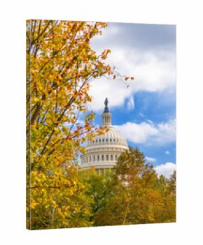 Fall foliage leading to the Capitol dome in Washington DC