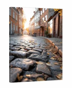 Soft golden light bathes the cobblestone alley in a small historic town. Autumn leaves scatter among the stones, while quaint buildings line the street, creating a peaceful, scenic atmosphere