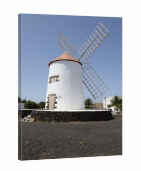 Windmühle in Teguise, Lanzarote