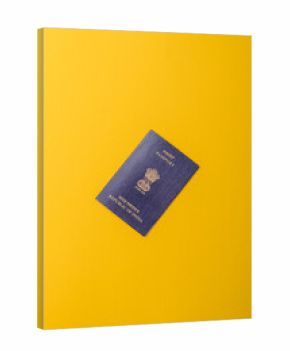 Indian passport for travelling, flying and doing business. India document, id