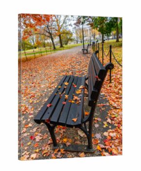 Scenic autumn landscape with pathway and benches in Washington DC