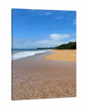 Tropical beach in caribbean, golden sand, foamy ocean waves and lush green palm trees, blue cloudy sky