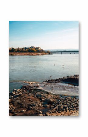 Petrovaradin fortress over Danube river with sewage outflow