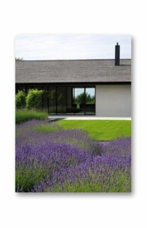 Modern house surrounded by lavender fields in bright daylight showcasing elegant architecture and serene landscape design with lush greenery and vibrant flowers