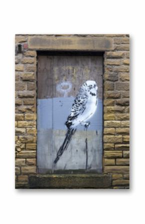 Budgie graffiti