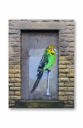 Budgie graffiti