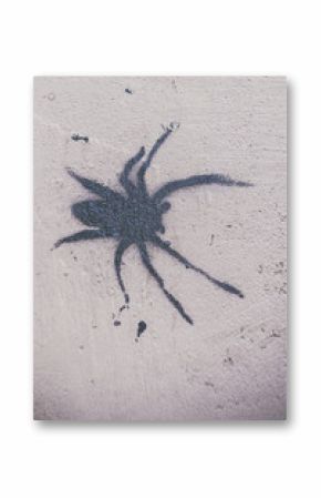 Graffiti araignée