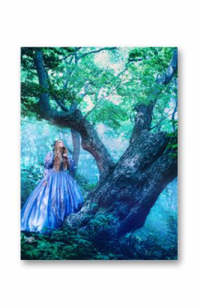 Princess in magic forest