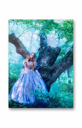 Princess in magic forest