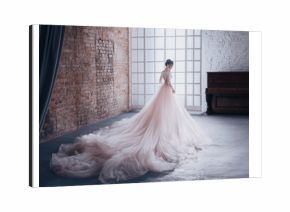 A young princess in an expensive, luxurious dress with a long train stands with her back to the camera, against the background of a vintage, high window. Stylish Fashion