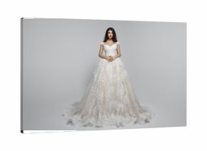 Frontal view of a amazing female model in long princess wendding dress, isolated on a white background.