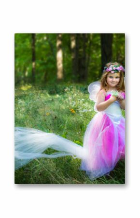 Little Girl Dressed as A Fairy Princess