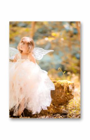 Fairy tale consept. Little toddler girl wearing beautiful princess dress with fairy wings