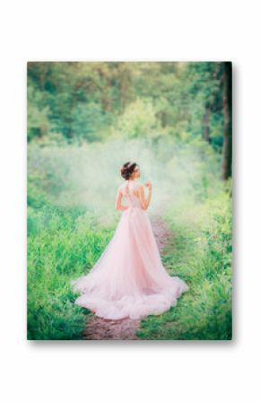 cute anime princess with open bare back to camera, slender charming lady in long light pink peach dress to floor, royal charm of kind girl with diadem, fabulous idea of sewing fashionable prom gown