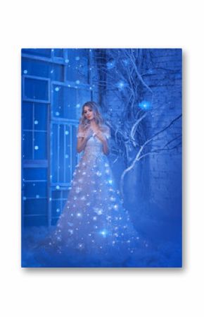 Magical fairytale night beautiful young princess woman. Blond hair. Luxury Queen dress bright sparks. retro vintage interior dark room tree magic glow shiny stars, blue snow. garland light on skirt