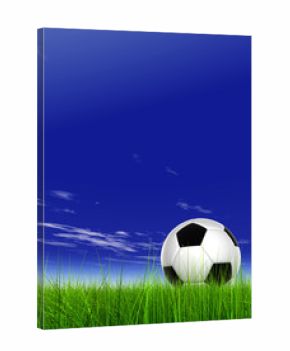 3D black soccer ball,green grass and a blue sky with clouds