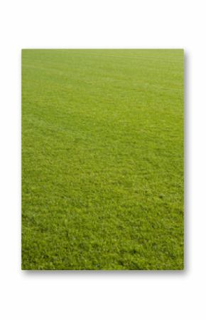 Fußballrasen