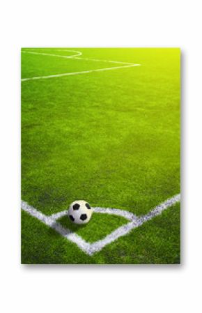 Soccer grass field with marking and ball, Sport