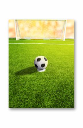 A soccer ball in front of goal