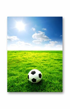 football field soccer stadium on the green grass