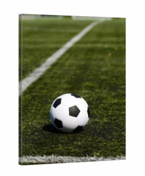 Soccer pitch
