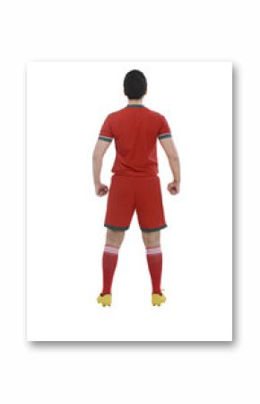 Back view of male soccer player