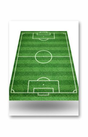 perspective view of soccer field