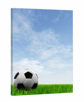 3D black soccer ball,green grass and a blue sky with clouds