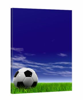 3D black soccer ball,green grass and a blue sky with clouds