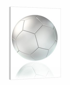 white soccer ball