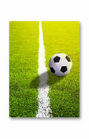 Soccer grass field with marking and ball, Sport
