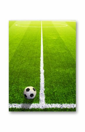 Soccer grass field with marking and ball, Sport