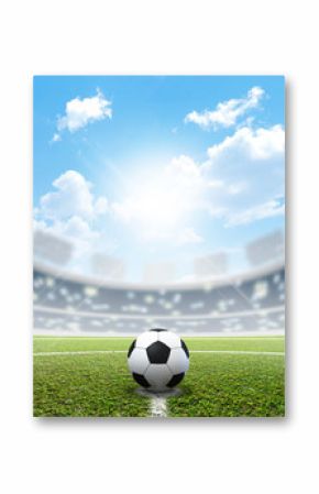 Stadium Soccer Pitch And Ball