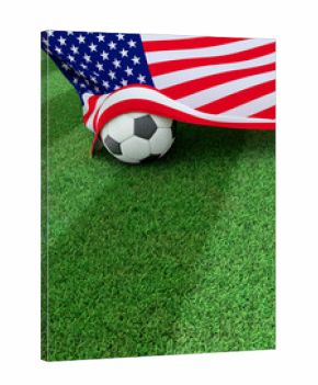 Soccer ball and national flag of USA,  green grass