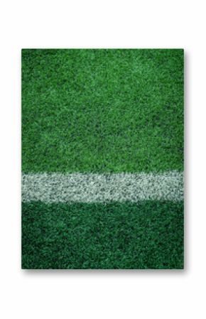 artificial turf of Soccer football field