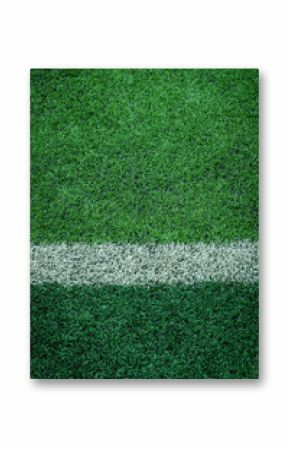 artificial turf of Soccer football field