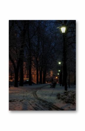 Miasto nocą