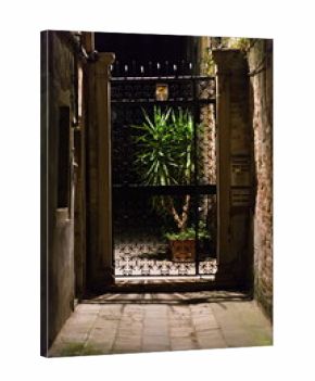 Oświetlona brama z rośliną nocą