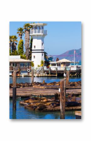 San Francisco Pier 39 lighthouse and seals California