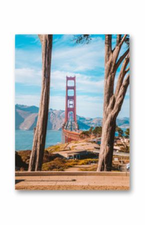 Golden Gate Bridge with cypress trees at Presidio Park, San Francisco, California, USA