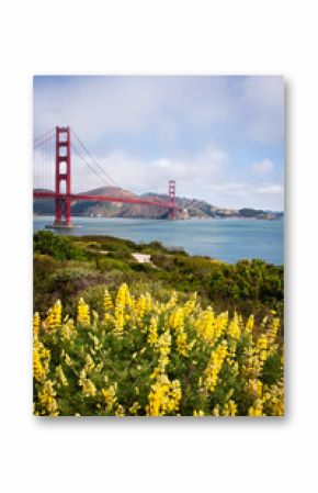 Golden Gate Bridge