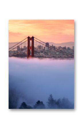 Early morning low fog at Golden Gate Bridge